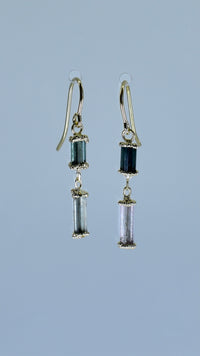 Load image into Gallery viewer, earring:jewel_double_s
