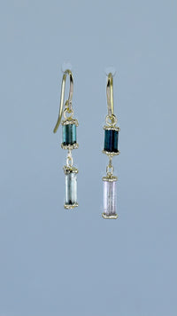 Load image into Gallery viewer, earring:jewel_double_s
